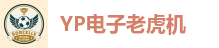 YP电子老虎机